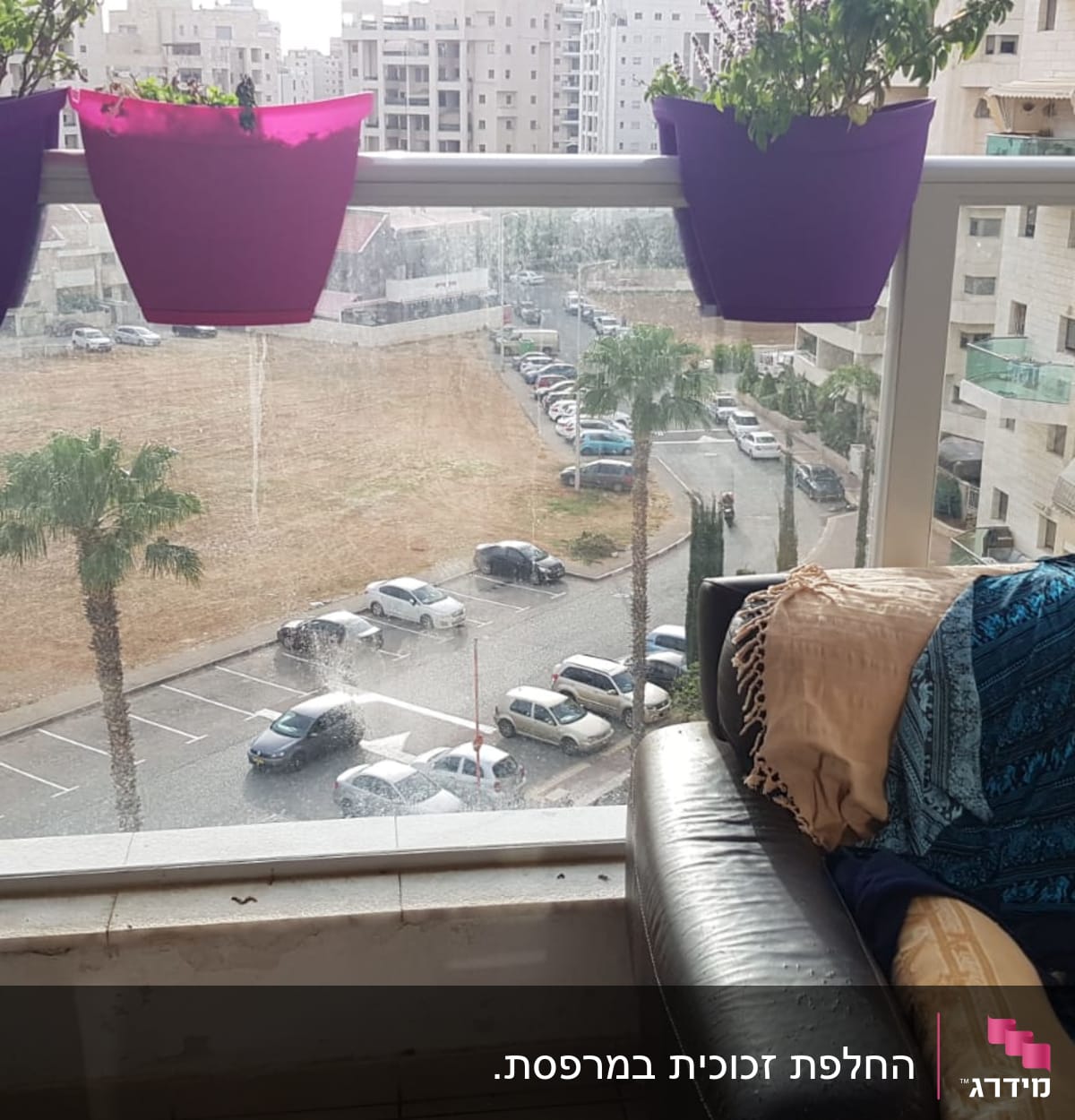 חלון זכוכית גדול עם עציצים תלויים